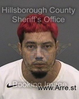 Sergio Eladio Alvarez Gonzalez Mugshot