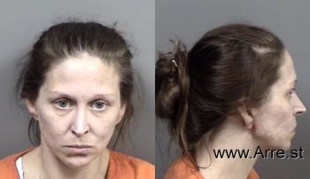 Shannon Melissa Spangler Mugshot