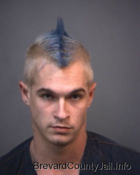 Steven Harris Bridges Mugshot