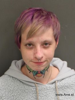 Sadie Christine Wells Mugshot