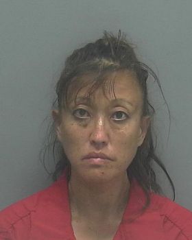 Sally  Anderson Mugshot