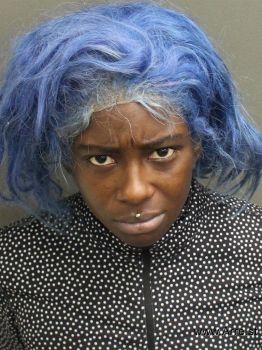 Samantha Lashawn Bell Mugshot