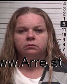 Sandra Leigh Willis Mugshot