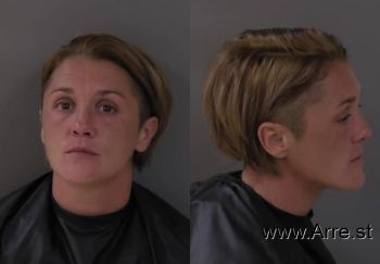 Sara Jane Briggs Mugshot