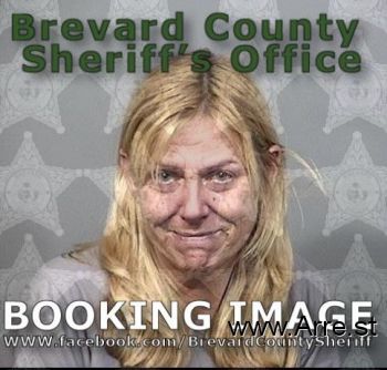 Sara Lally Collins Mugshot