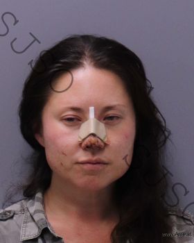 Sara Rose Heathcote Mugshot