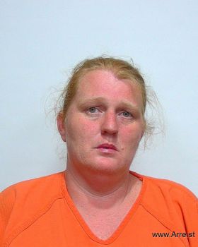 Sara Lynn Jones Mugshot