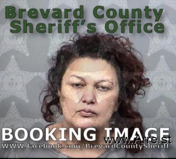 Sara Delcarman Silva Mugshot