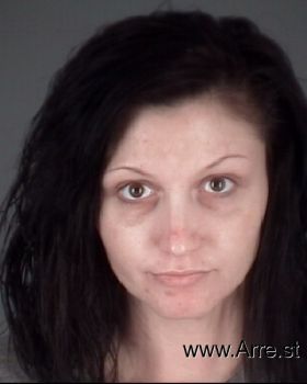 Sara Elaine Sims Mugshot