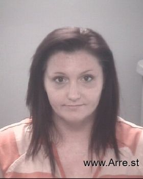 Sara Elaine Sims Mugshot