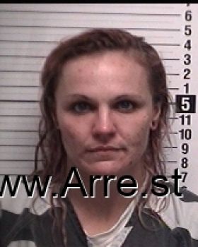 Sarah Michael Ford Mugshot