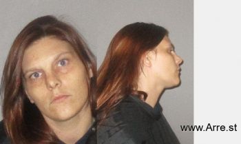 Sarah Danielle Gibson Mugshot