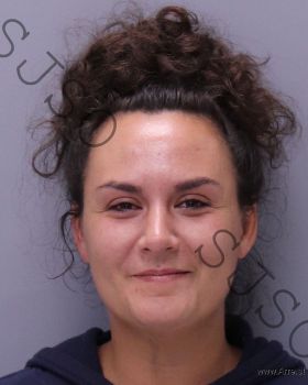 Sarah Michelle Hall Mugshot