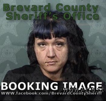 Sarah Ann Hillard Mugshot