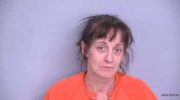 Sarah Anne Johnson Mugshot