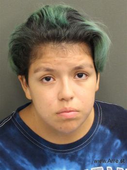 Selena  Hernandez Mugshot