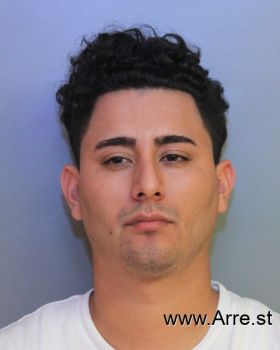 Sergio  Alvarez Mugshot