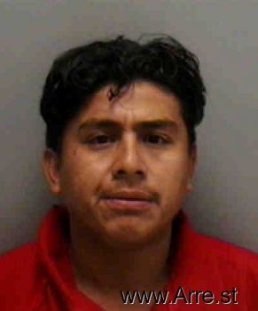 Sergio  Castillo Mugshot