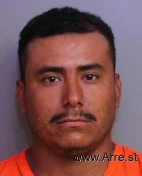 Sergio  Gonzalez-castillo Mugshot