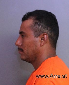 Sergio  Gonzalez-castillo Mugshot