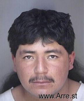 Sergio  Perez Mugshot