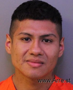 Sergio  Rosales Mugshot