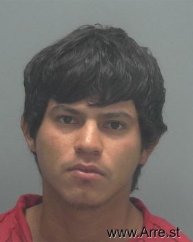 Sergio Ariel Salinas-escobar Mugshot