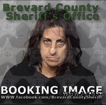 Shannon Elizabeth Bartlett Mugshot