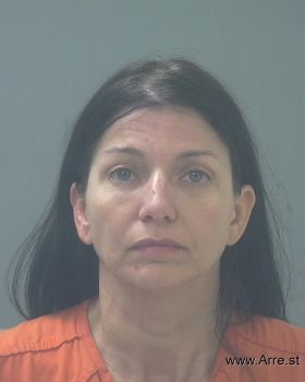 Shannon Lynn Long Mugshot