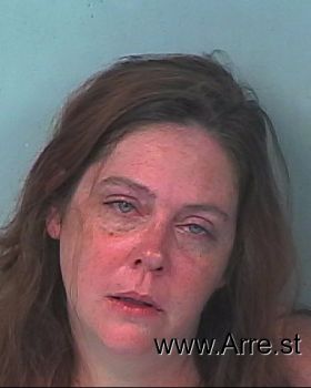 Shannon Ann Masterson Mugshot