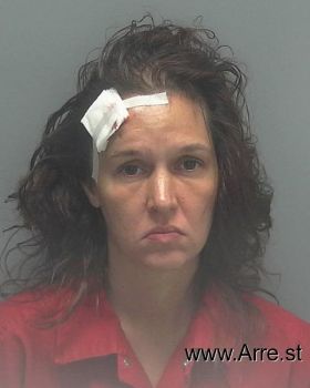 Shannon Michelle Miller Mugshot