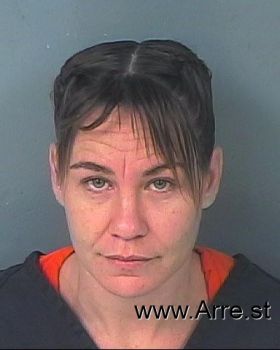 Shannon Lynn Rice Mugshot