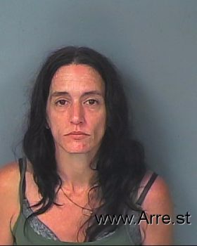 Sheri Lyn Vanblarcom Mugshot