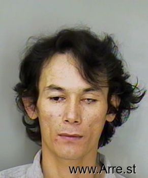 Son Van Tran Mugshot