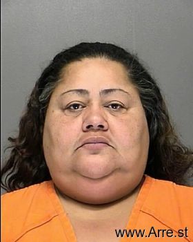 Sonia  Irizarryvelazquez Mugshot