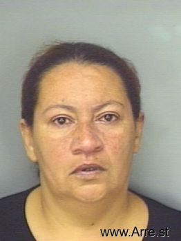 Sonia  Ortiz Mugshot