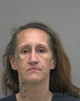 Sonya Lynn Labare Mugshot