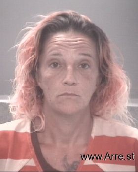 Stacey Lee Briggs Mugshot