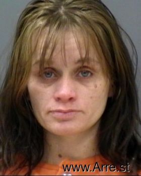 Stephanie Ann Barnes Mugshot