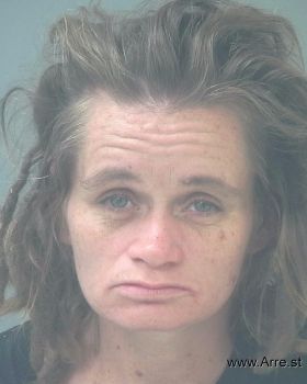 Stephanie Ann Barnes Mugshot