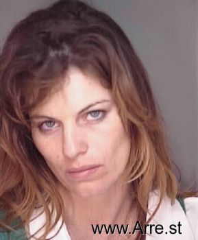 Stephanie Lee King Mugshot