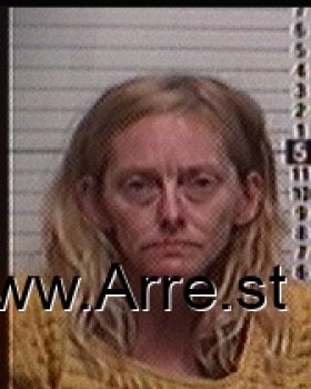 Stephanie Renee Lee Mugshot