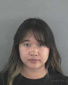 Stephanie Kim Lee Mugshot