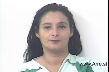 Stephanie Idon Mason Mugshot