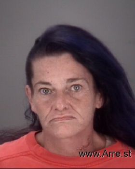 Susan Michelle Barrs Mugshot