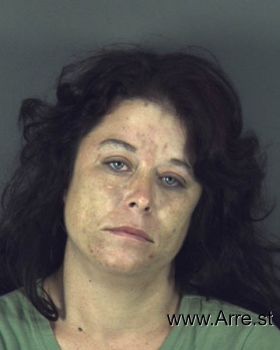 Susan Gail Davis Mugshot