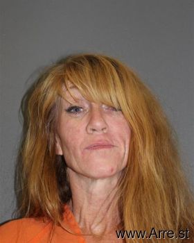 Susan  Fields-davis Mugshot