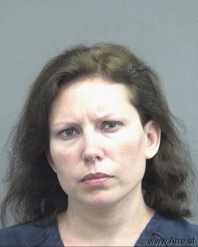 Susan Dana Tumminia Mugshot