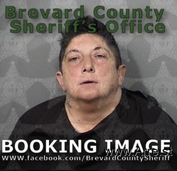 Susan Lynn Weaver Mugshot