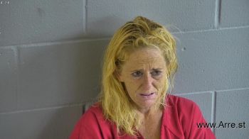 Tammy  Anderson Mugshot